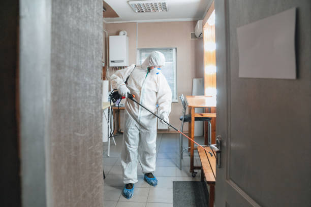 Professional Mold Removal in Italy, TX