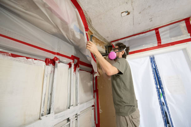 Best Real Estate Mold Inspection  in Italy, TX